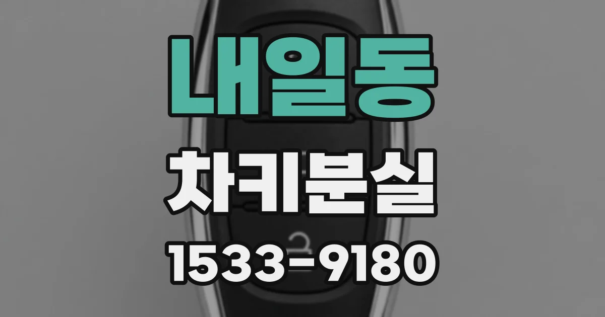 내일동 차키분실