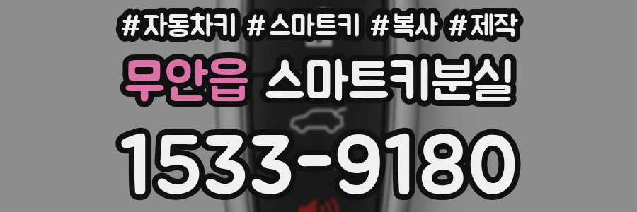 무안읍 스마트키분실