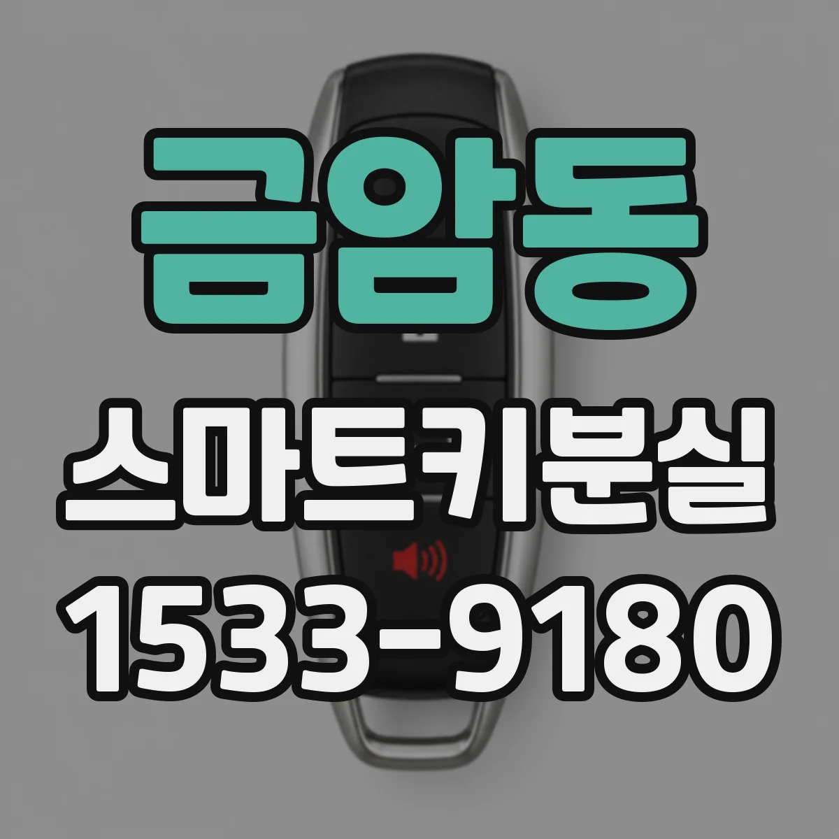 금암동 스마트키분실