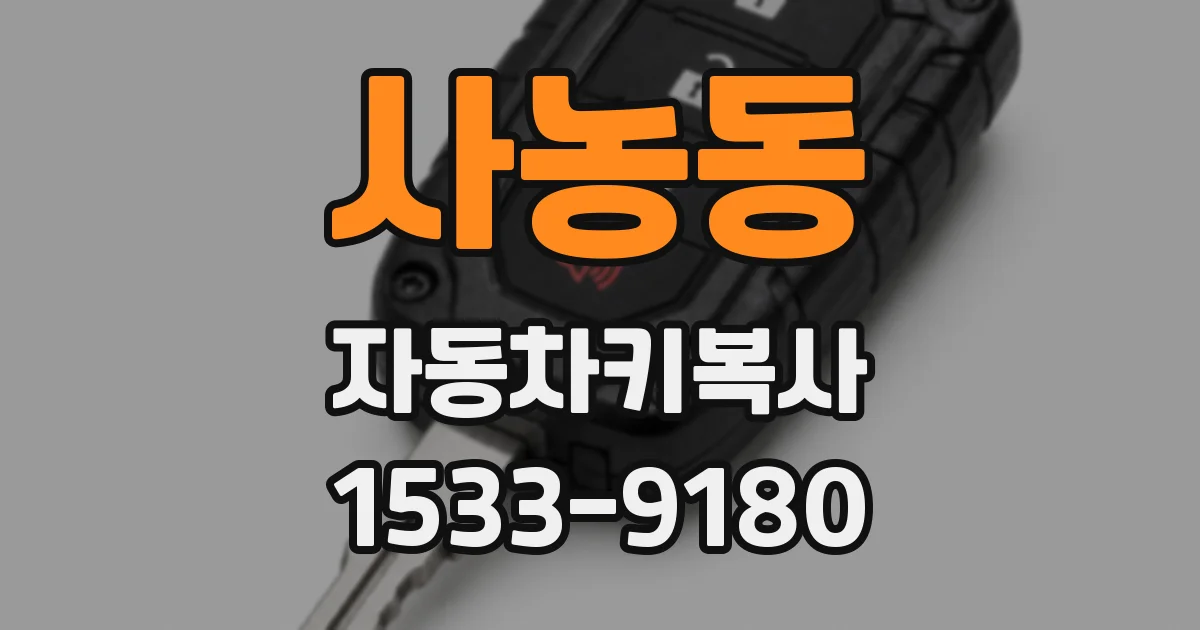 사농동 자동차키복사