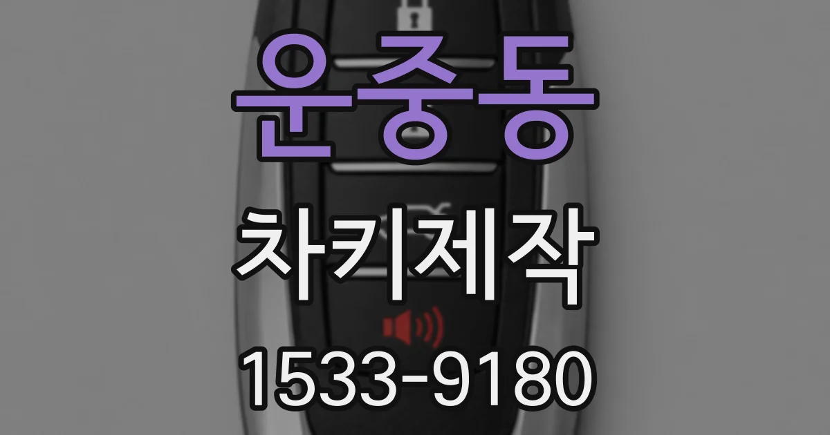 운중동 차키제작