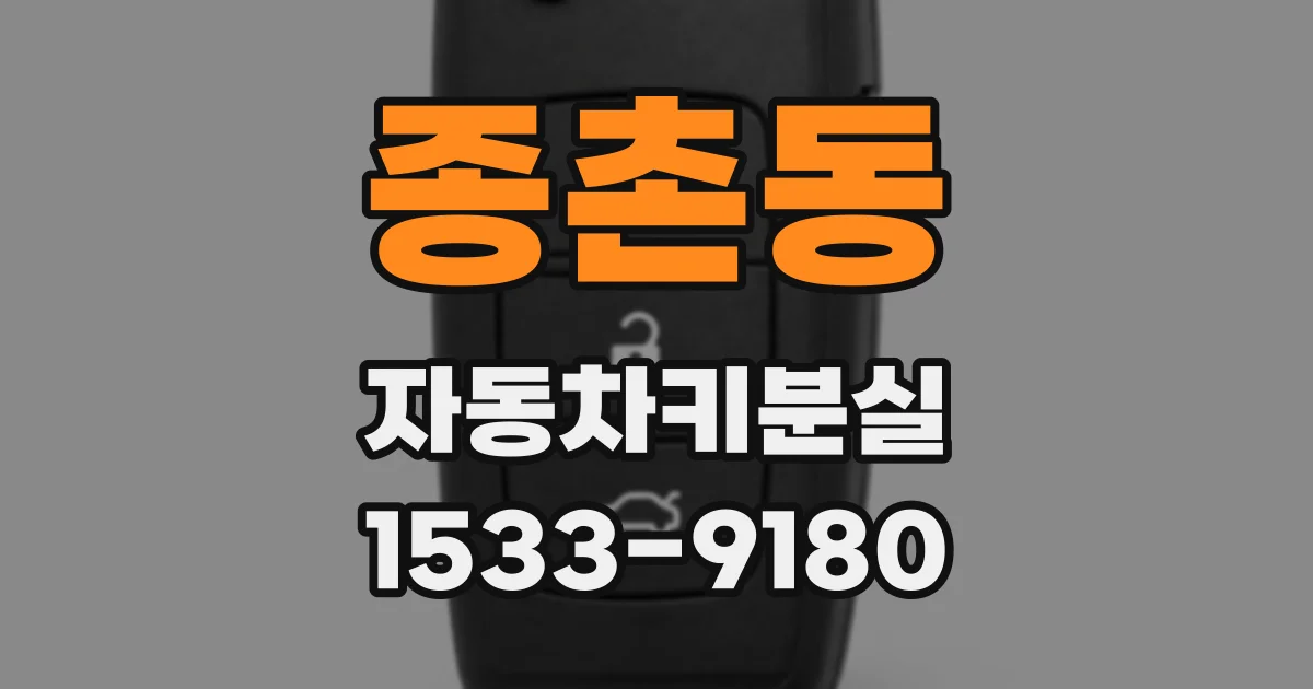 종촌동 자동차키분실