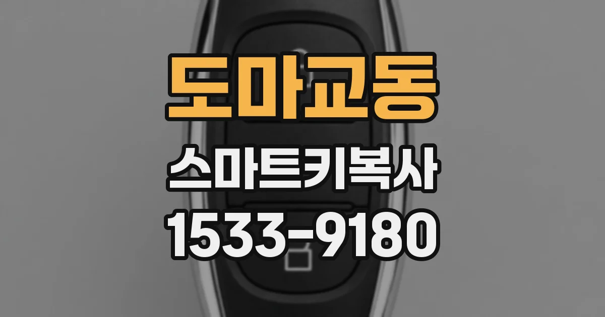 도마교동 스마트키복사