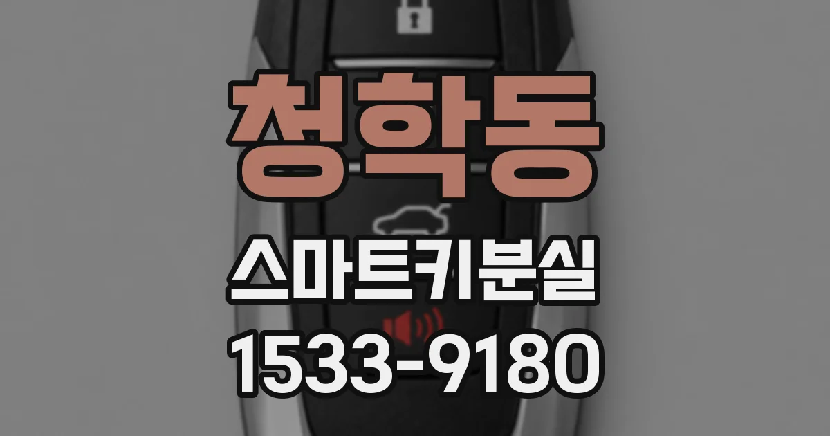 청학동 스마트키분실