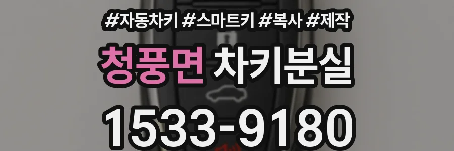 청풍면 차키분실