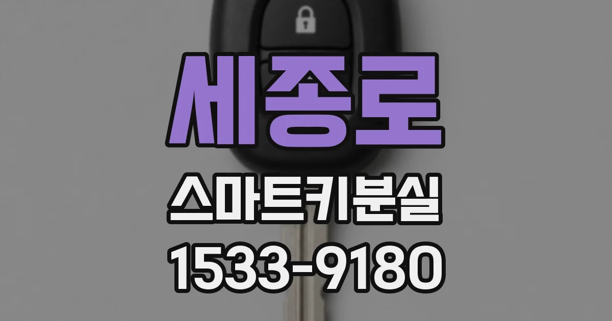 세종로 스마트키분실