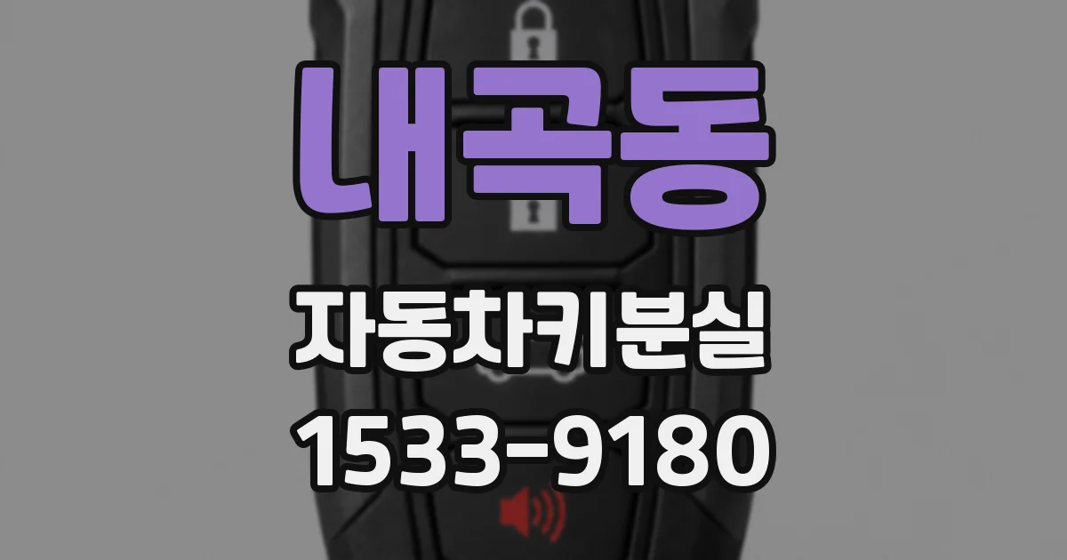 내곡동 자동차키분실