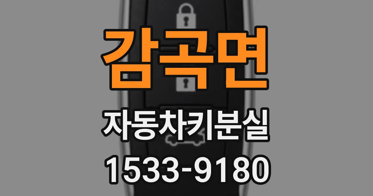 감곡면 자동차키분실