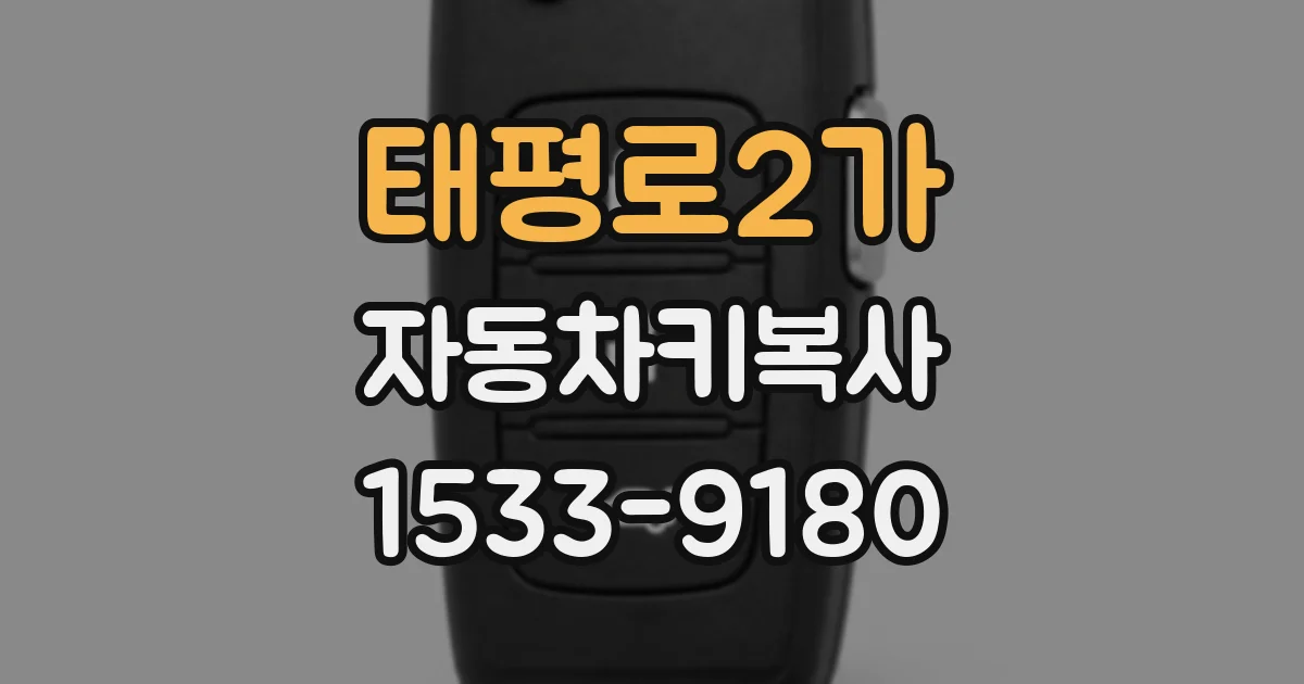 태평로2가 자동차키복사