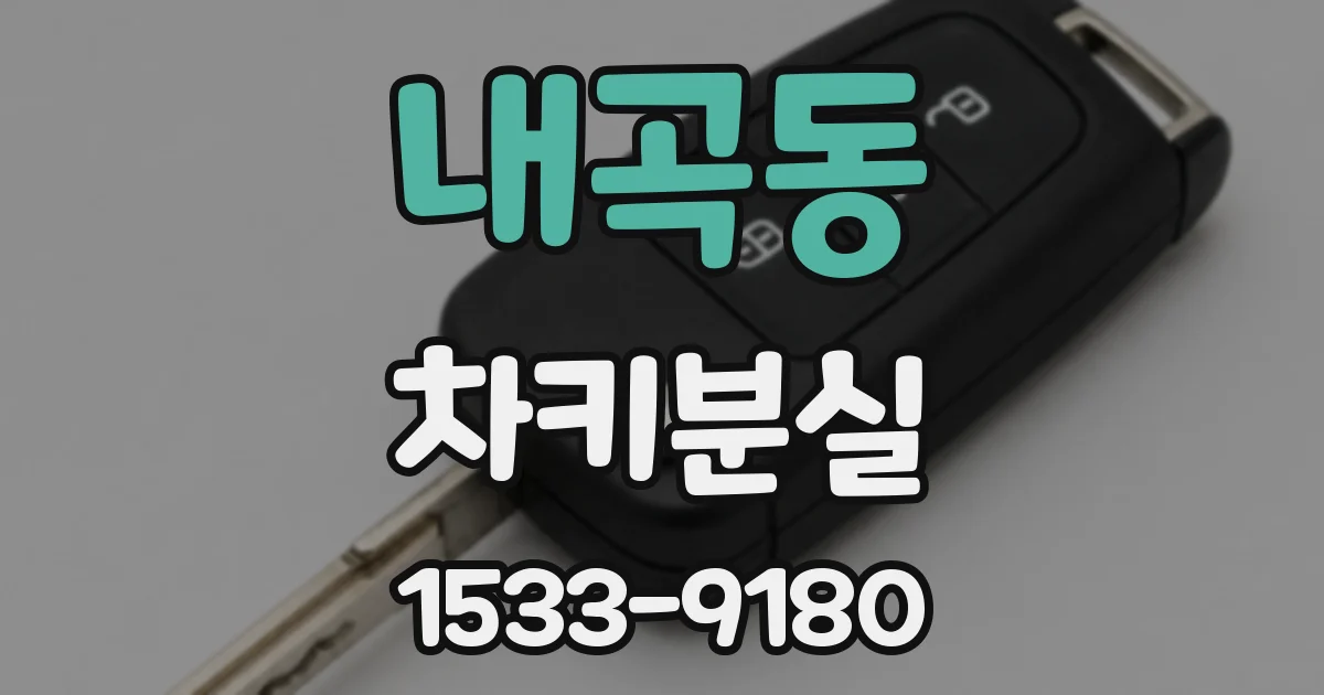 내곡동 차키분실
