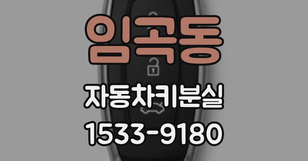 임곡동 자동차키분실