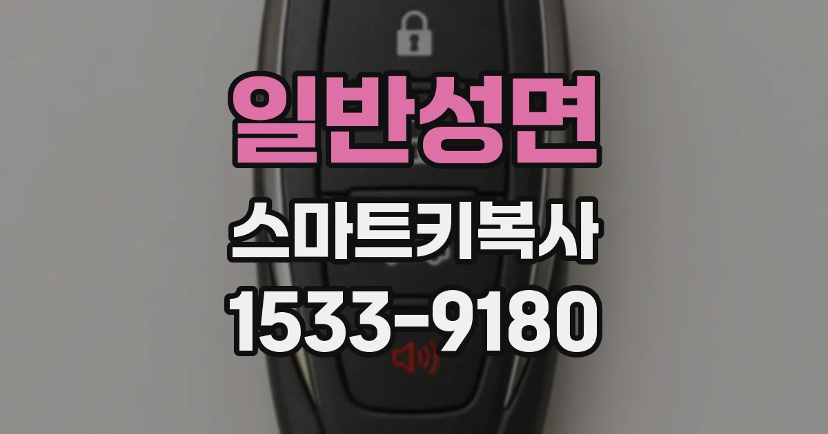일반성면 스마트키복사