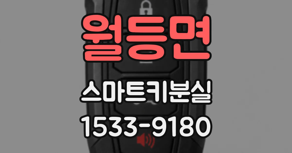 월등면 스마트키분실