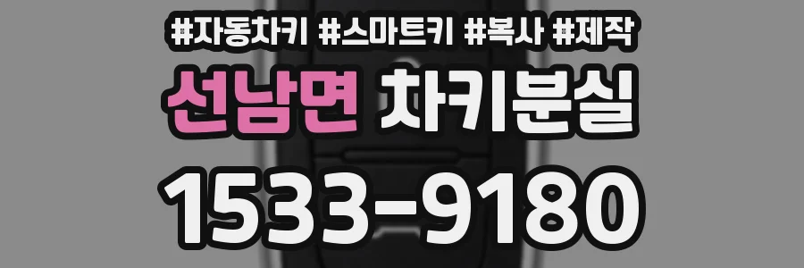 선남면 차키분실
