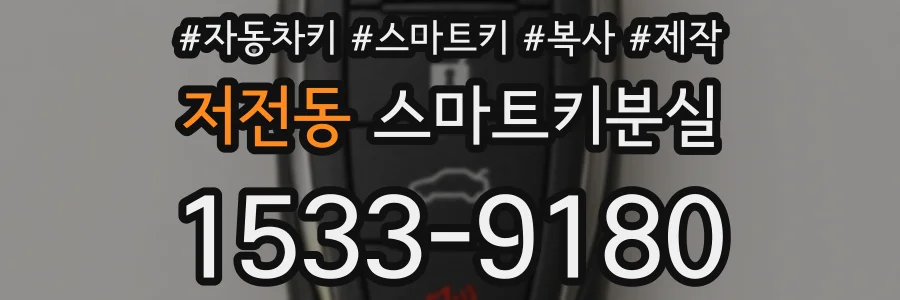 저전동 스마트키분실