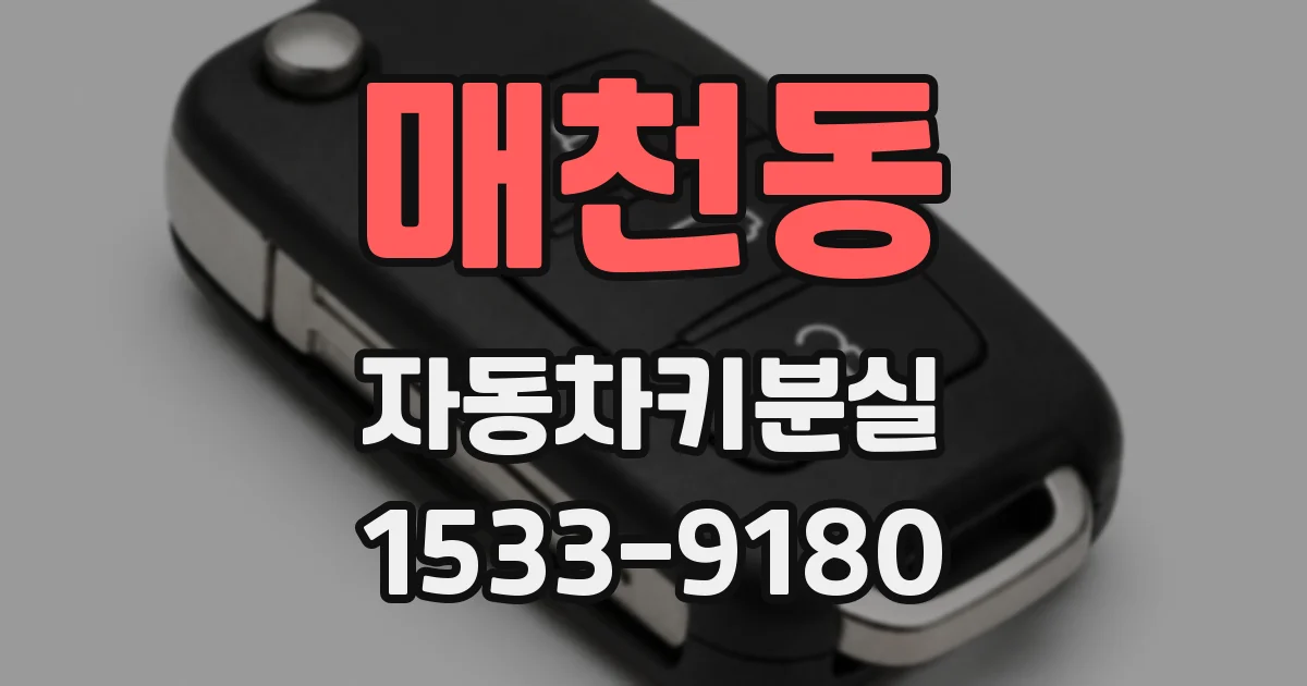 매천동 자동차키분실