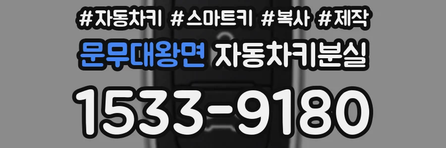 문무대왕면 자동차키분실