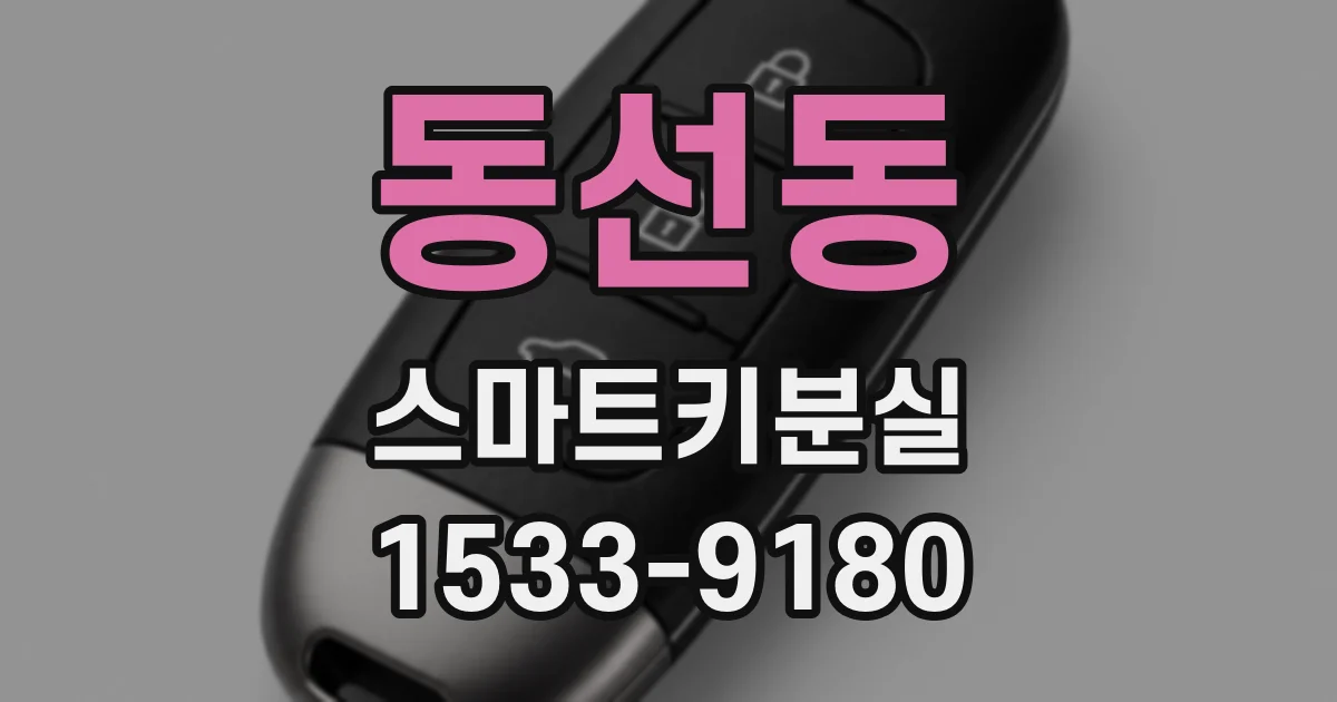 동선동 스마트키분실