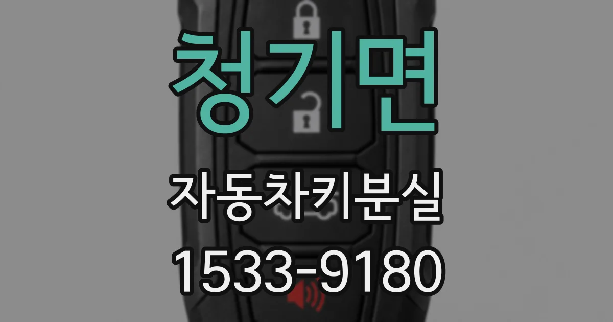 청기면 자동차키분실