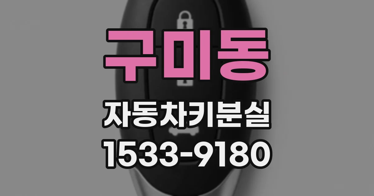 구미동 자동차키분실