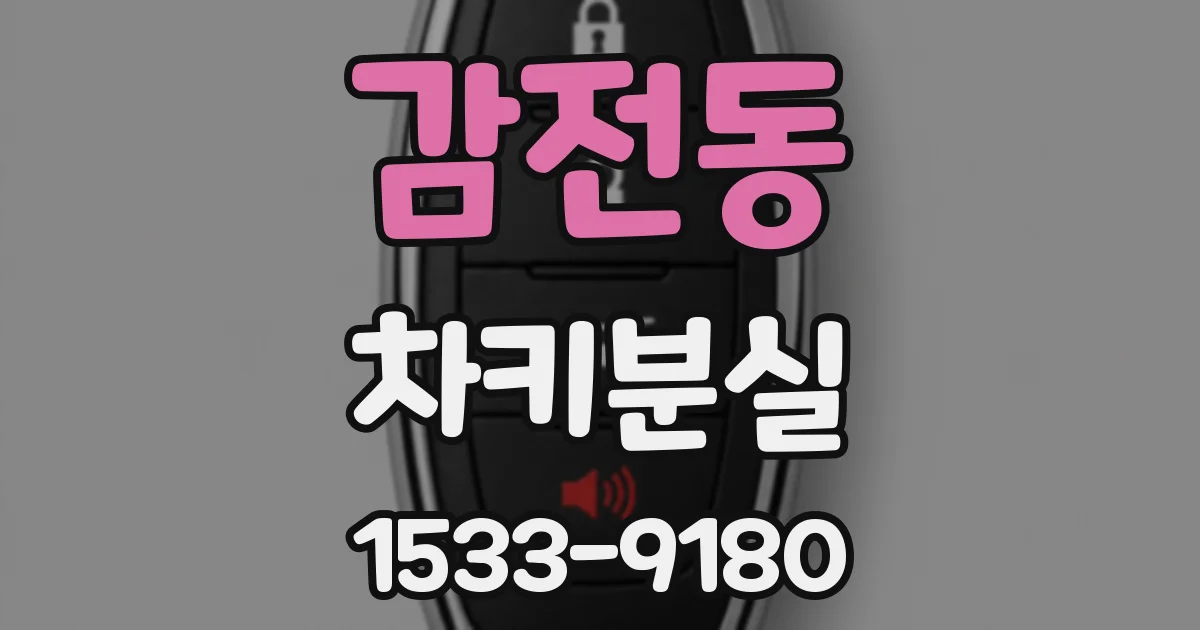 감전동 차키분실