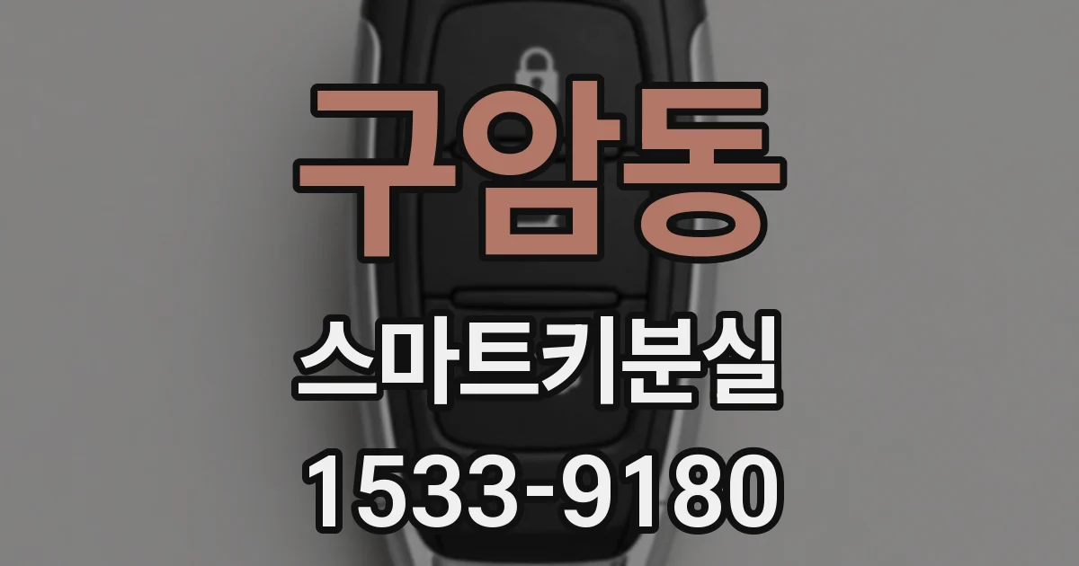 구암동 스마트키분실