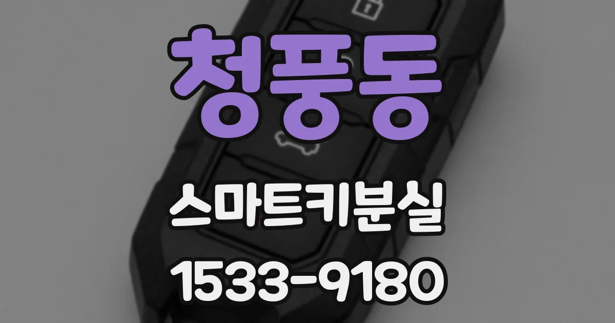 청풍동 스마트키분실