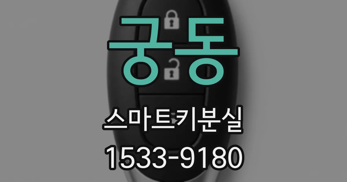 궁동 스마트키분실