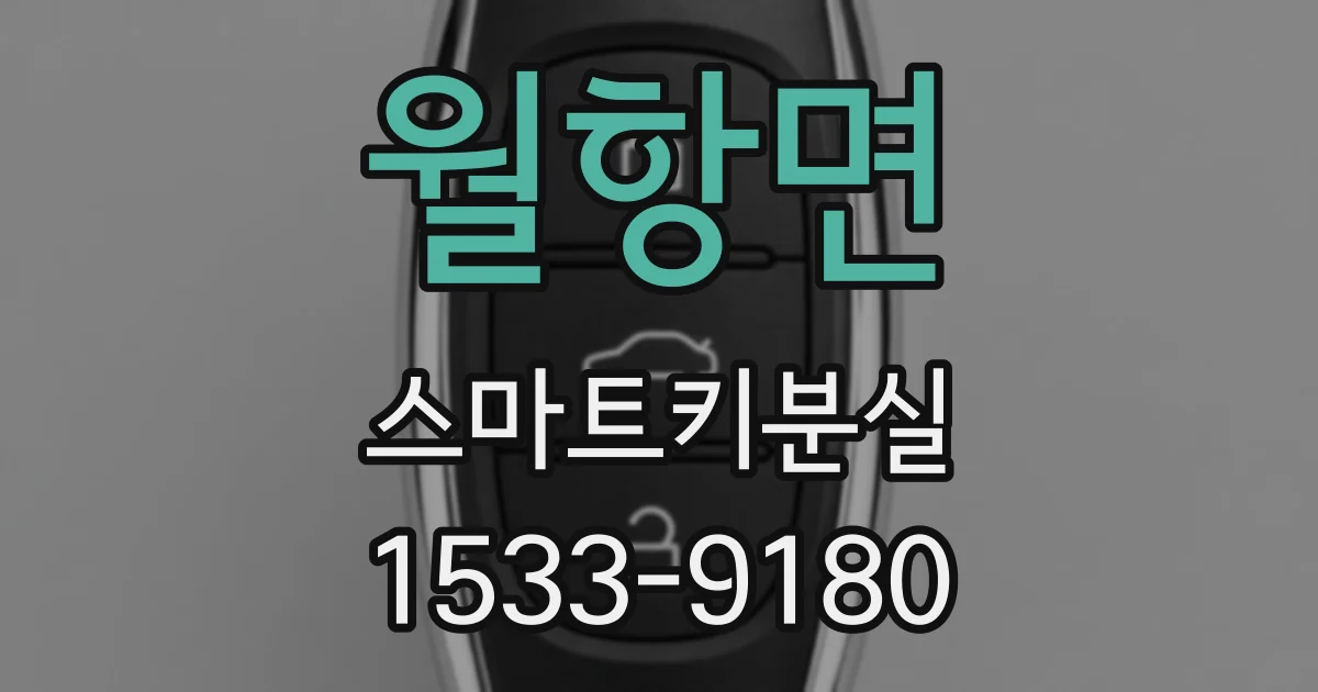 월항면 스마트키분실