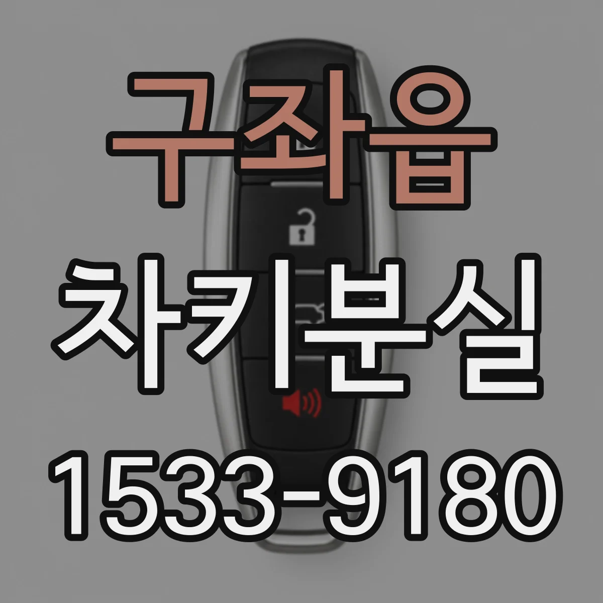 구좌읍 차키분실