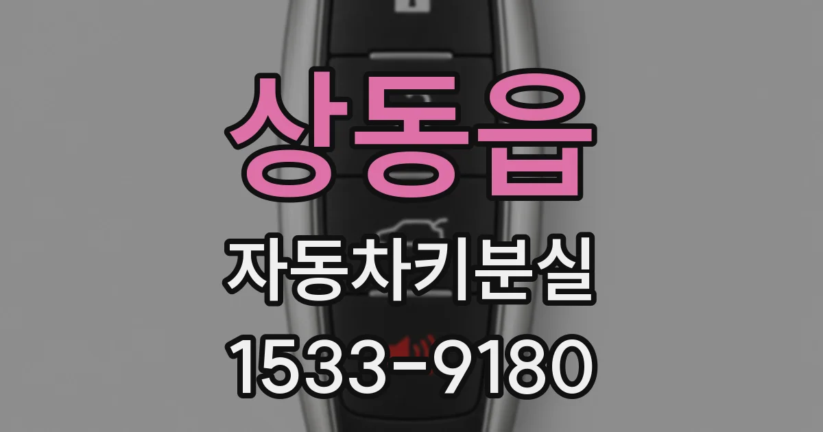 상동읍 자동차키분실