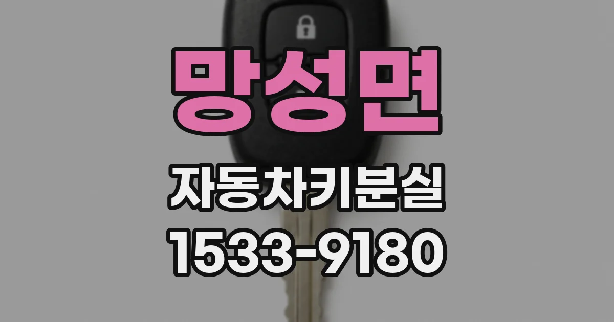 망성면 자동차키분실