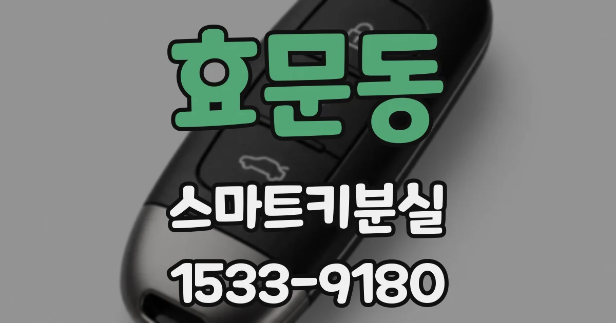 효문동 스마트키분실
