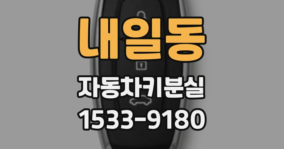 내일동 자동차키분실