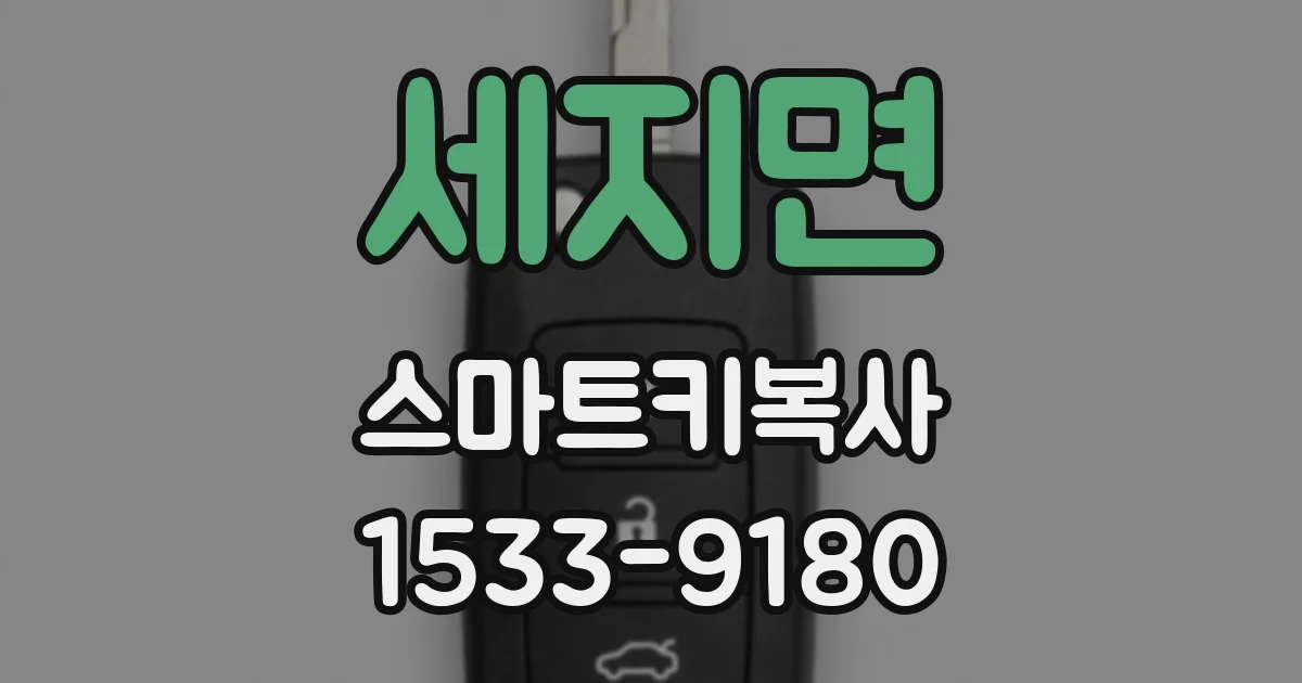 세지면 스마트키복사