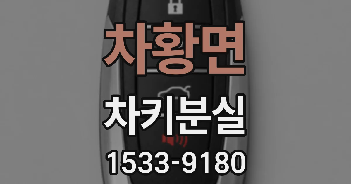 차황면 차키분실