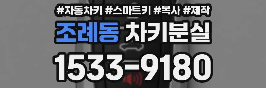 조례동 차키분실