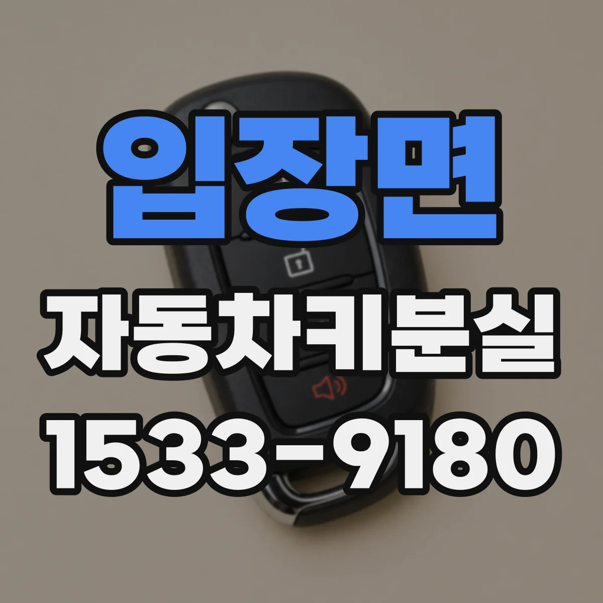 입장면 자동차키분실