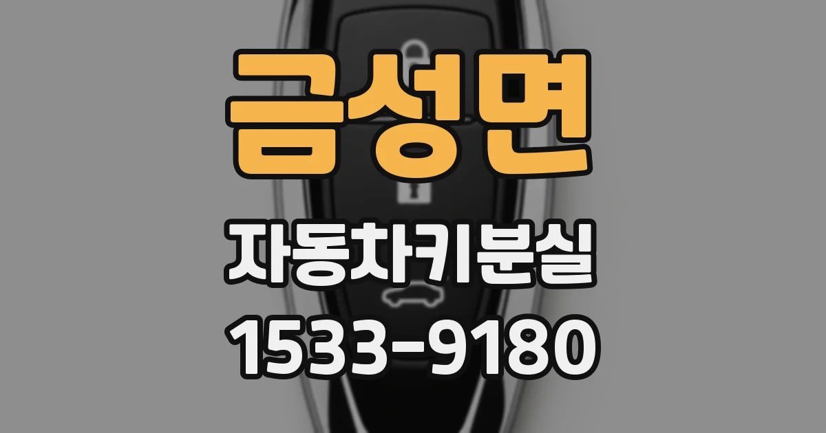 금성면 자동차키분실
