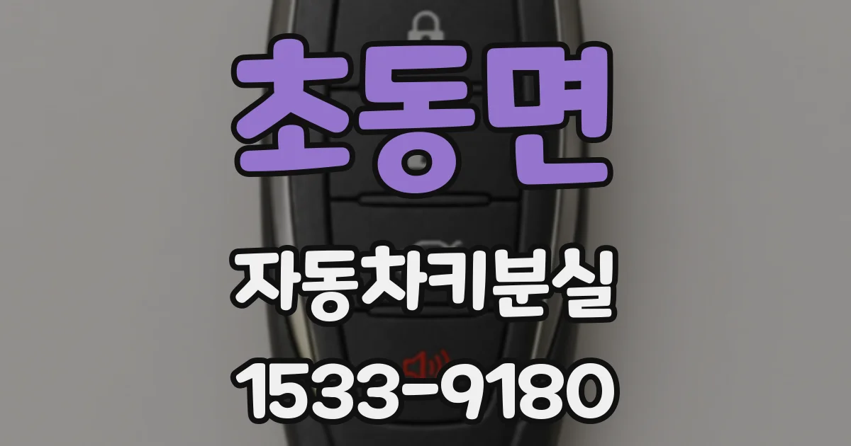 초동면 자동차키분실
