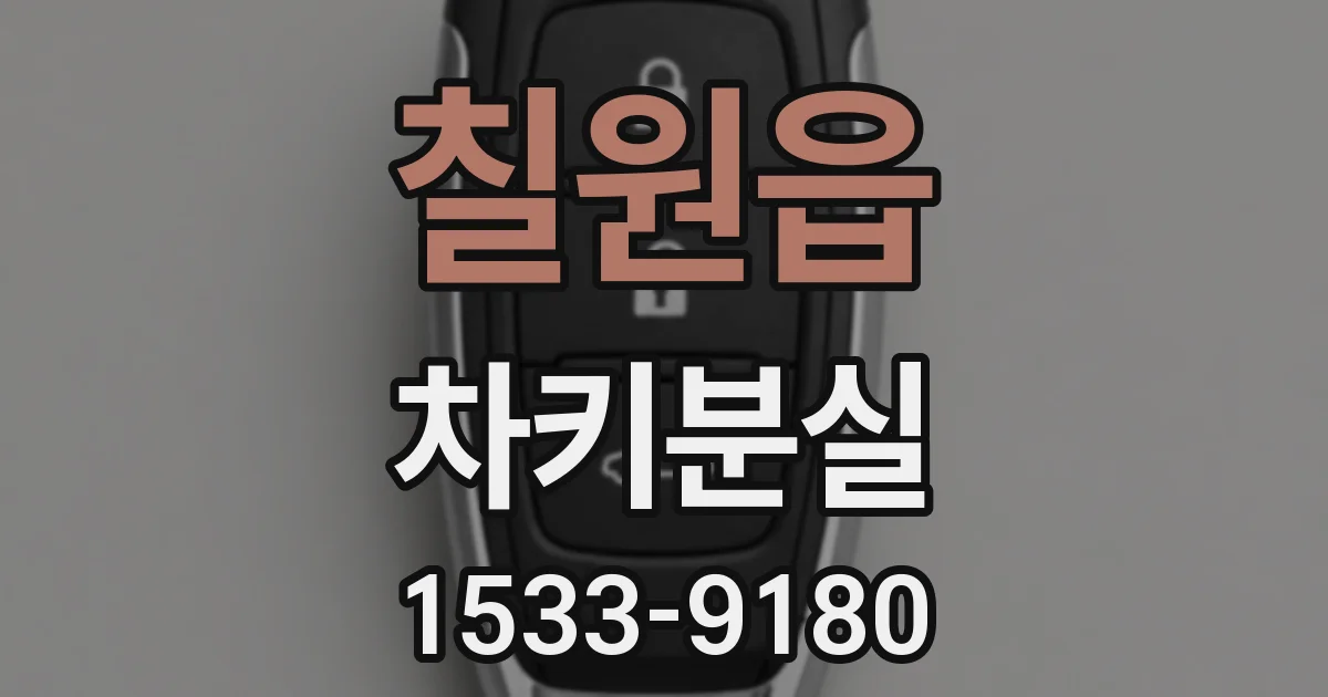 칠원읍 차키분실