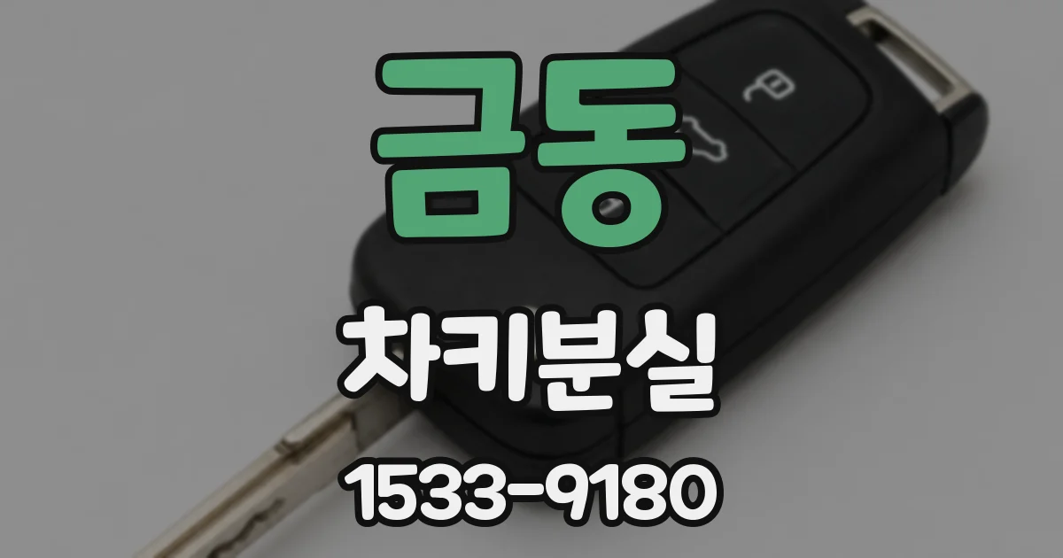 금동 차키분실