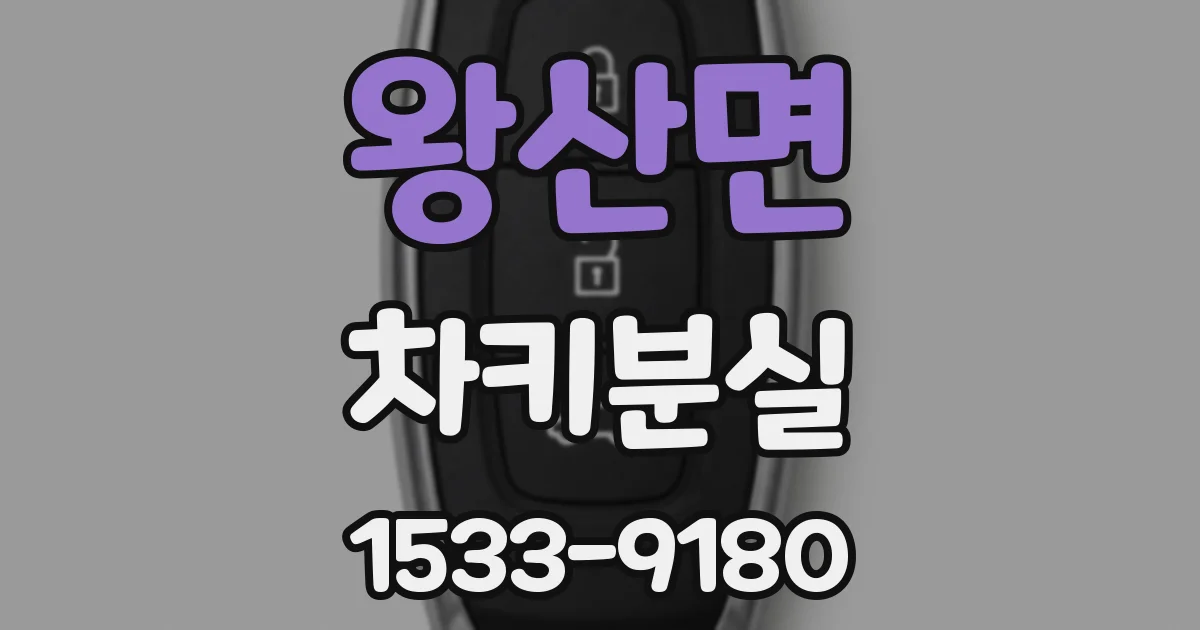 왕산면 차키분실