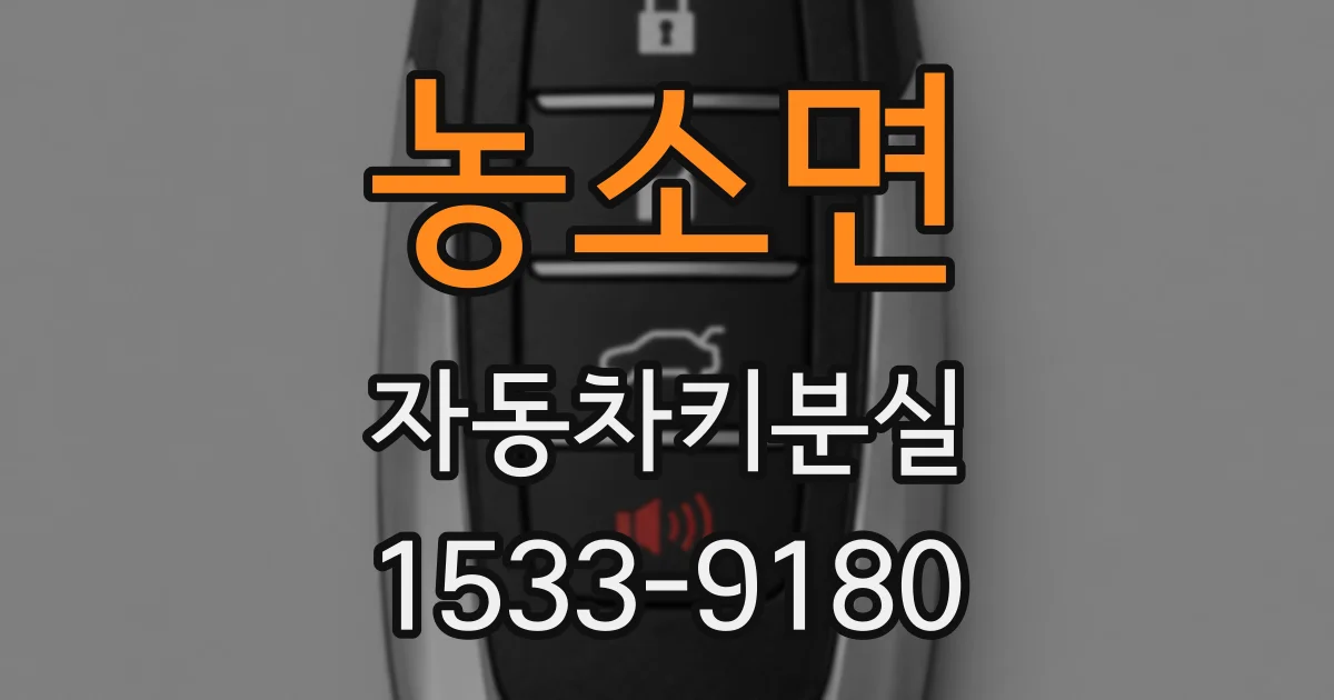 농소면 자동차키분실