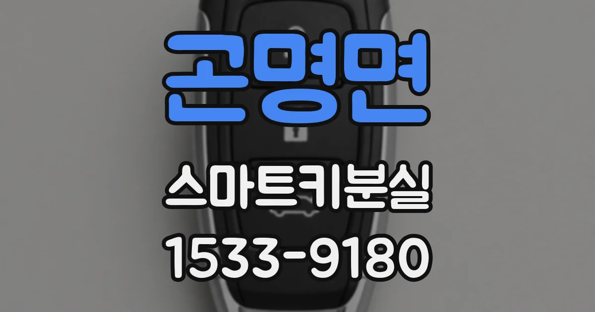 곤명면 스마트키분실