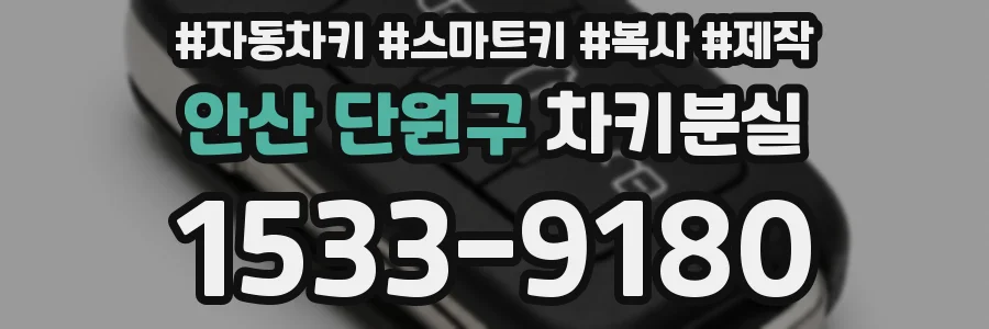 안산 단원구 차키분실
