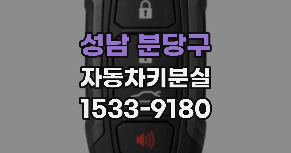 성남 분당구 자동차키분실