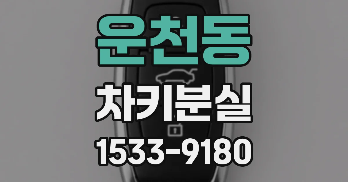 운천동 차키분실
