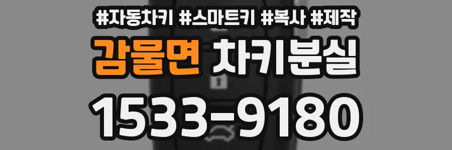 감물면 차키분실