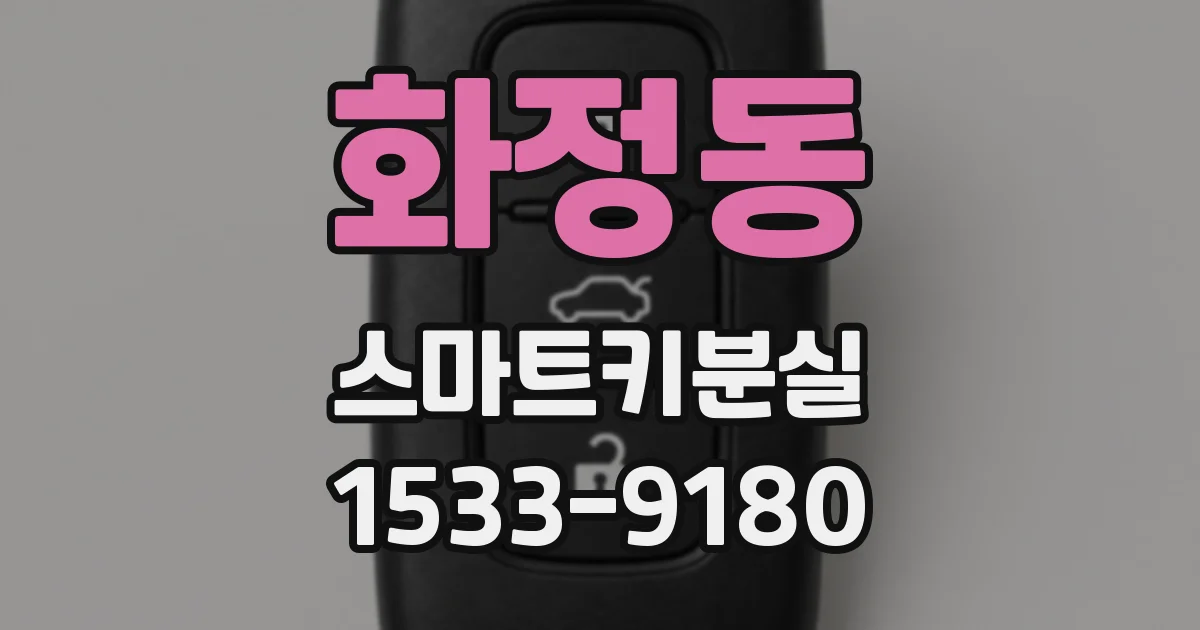 화정동 스마트키분실